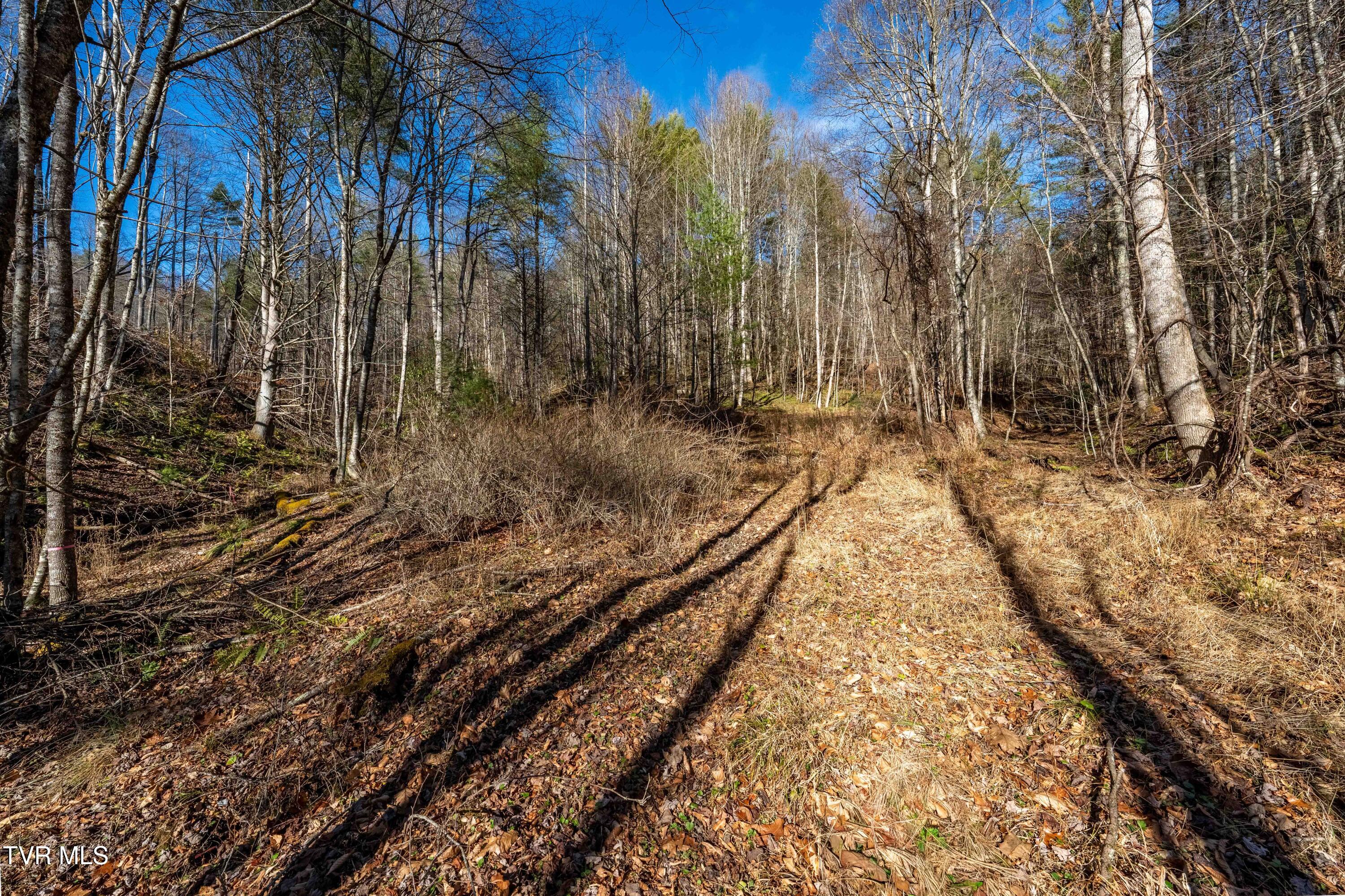 Tbd Hubert Taylor Road Mountain City, TN 37683 - Photo 26 of 28 TBD Taylor Rd (25 of 28)