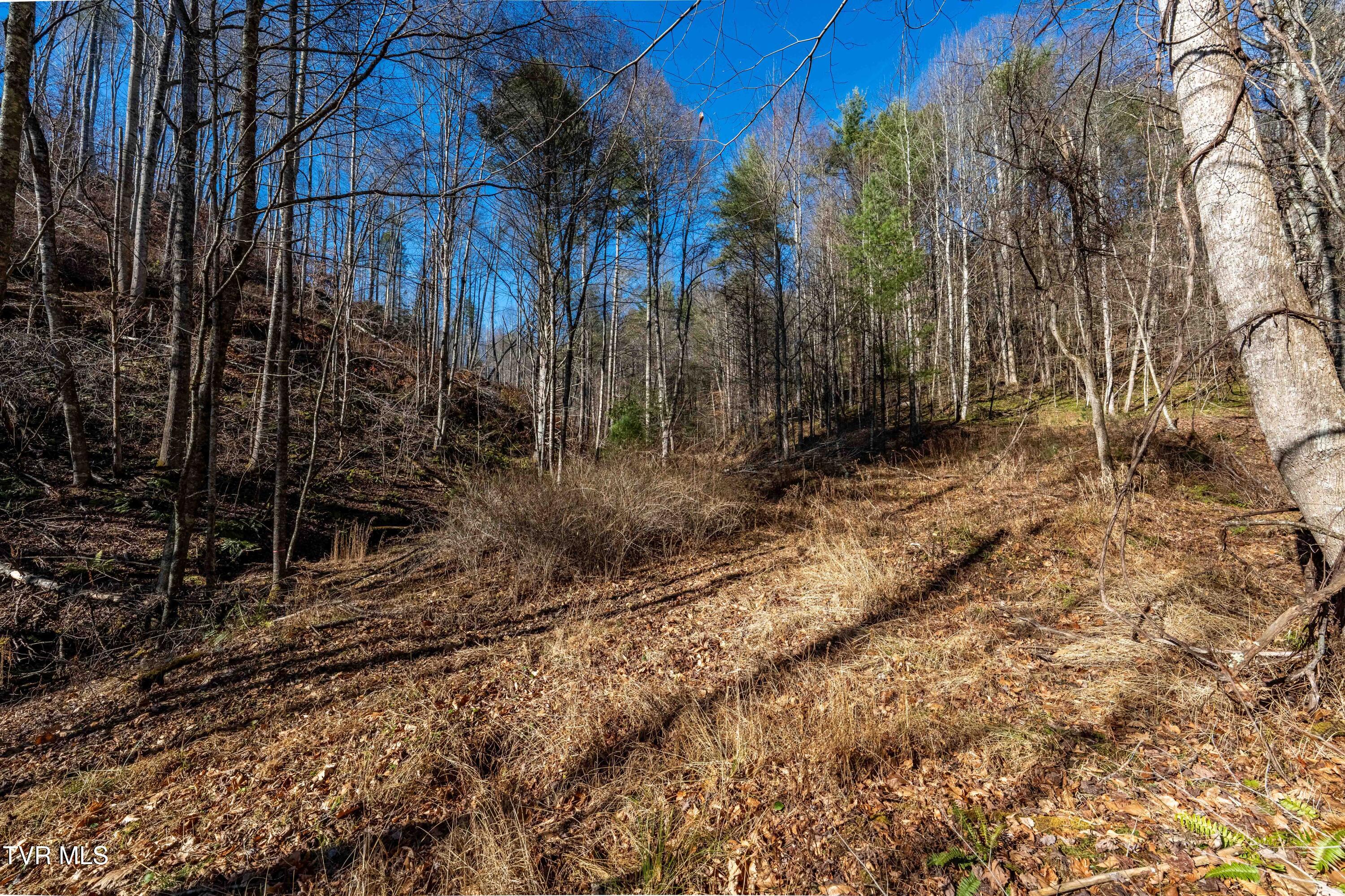 Tbd Hubert Taylor Road Mountain City, TN 37683 - Photo 27 of 28 TBD Taylor Rd (27 of 28)