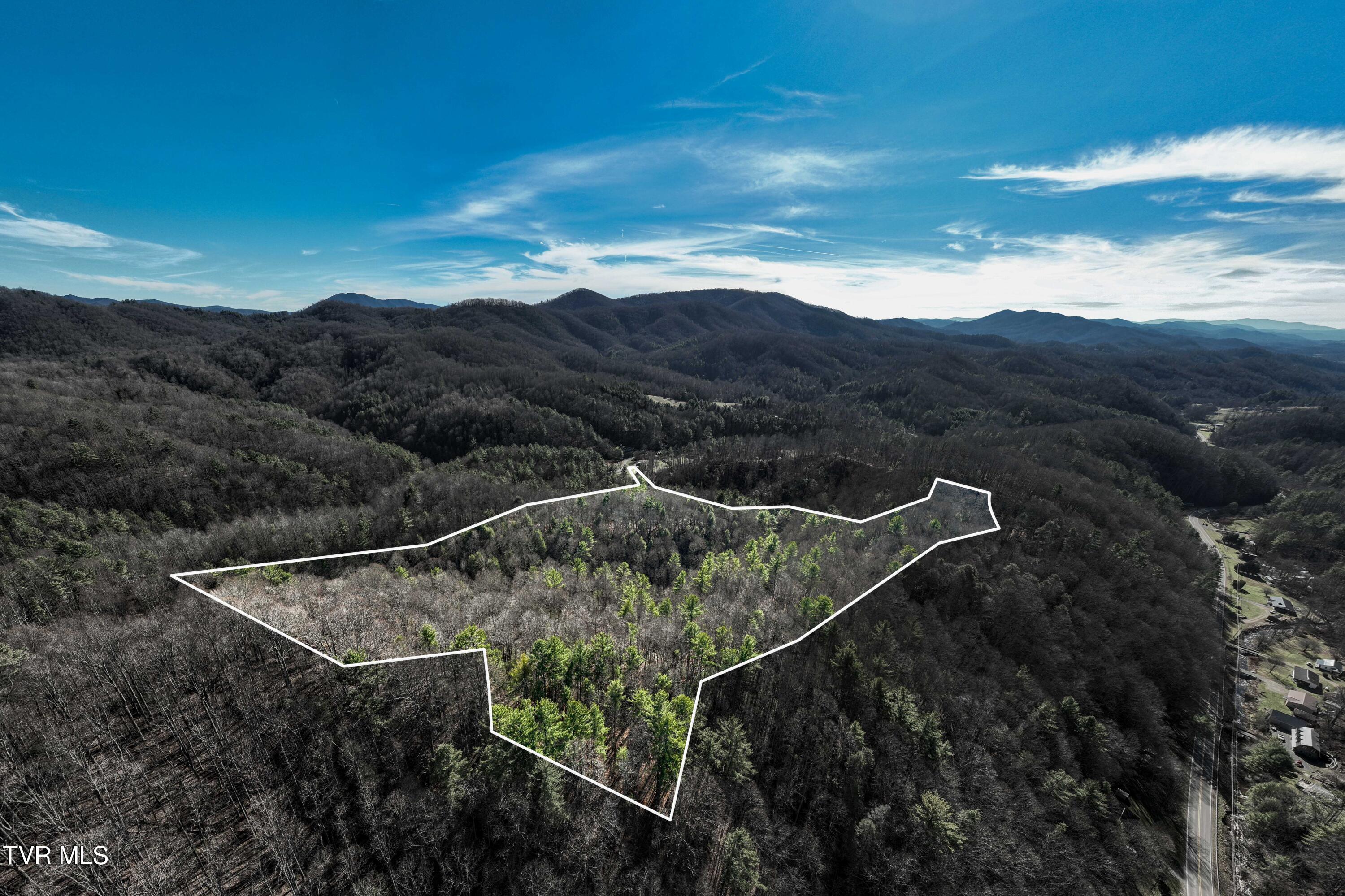 Tbd Hubert Taylor Road Mountain City, TN 37683 - Photo 4 of 28 TBD Taylor Rd (3 of 28)