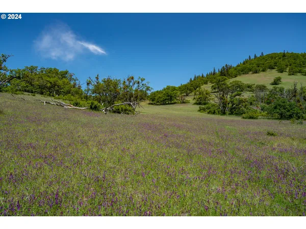 $4,500,000 | 2700 North Valley View Road, Ashland, OR 97520