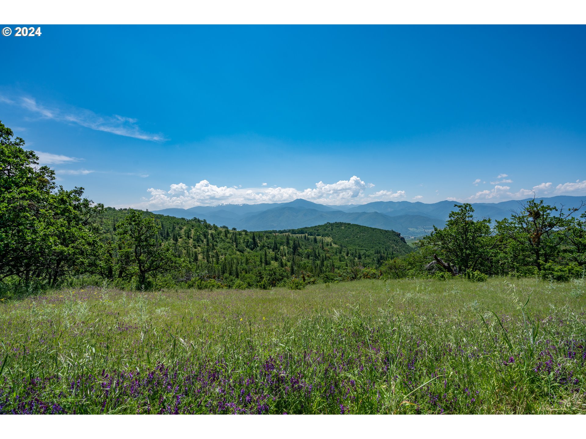 2700 North Valley View Road Ashland, OR 97520 - Photo 10 of 48