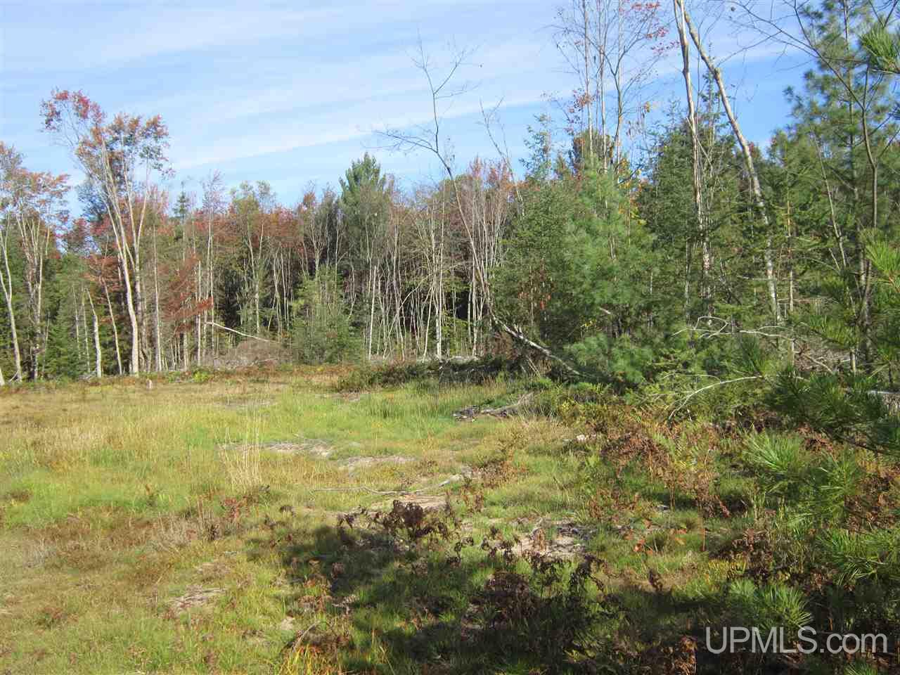 N2003 Sturgeon River Road Munising, MI 49862 - Photo 25 of 36