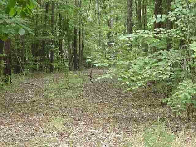 21 Latham Drive Anderson, SC 29621 - Photo 4 of 4