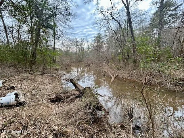 $109,500 | 3197 Leatherwood Road, Unit D, Tylertown, MS 39667