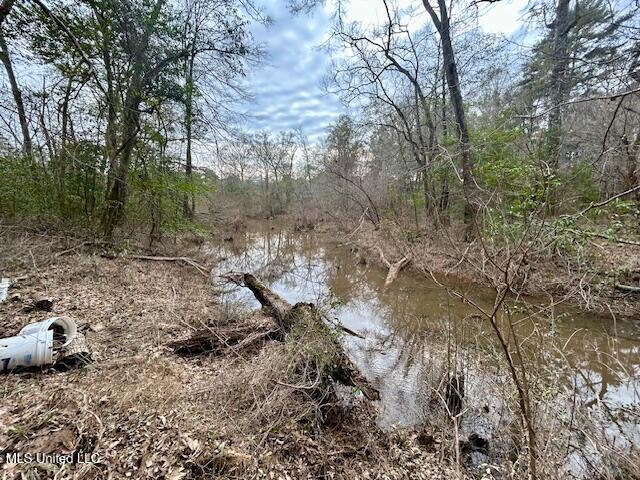 3197 Leatherwood Road, Unit D Tylertown, MS 39667 - Photo 15 of 26 IMG_2681 (1)