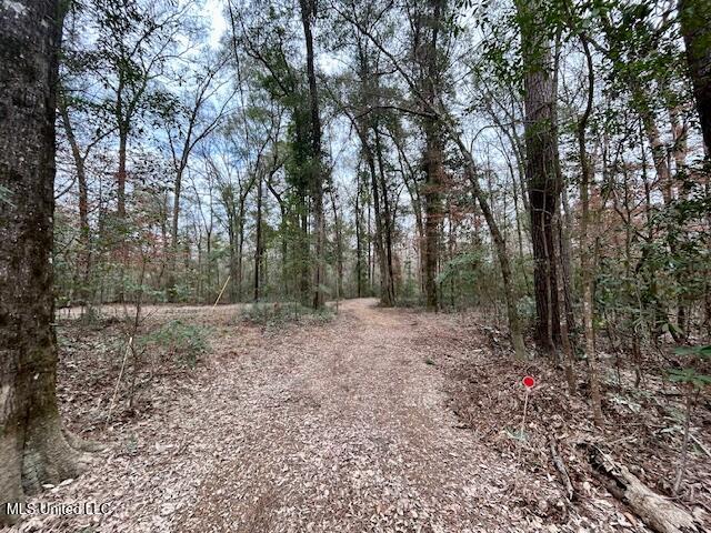 3197 Leatherwood Road, Unit D Tylertown, MS 39667 - Photo 16 of 26 IMG_2653 (1)