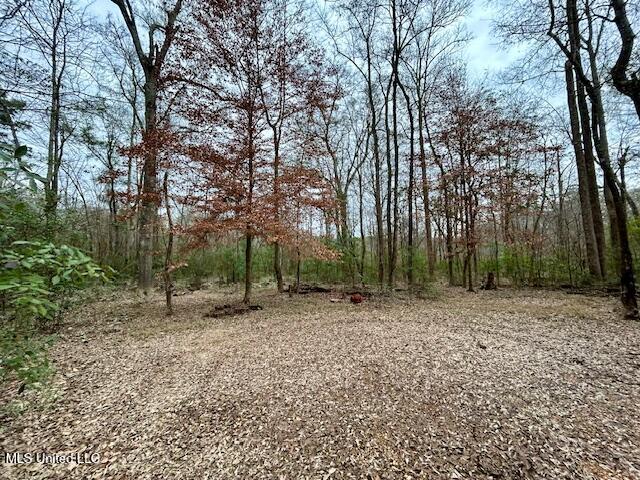 3197 Leatherwood Road, Unit D Tylertown, MS 39667 - Photo 18 of 26 IMG_2655