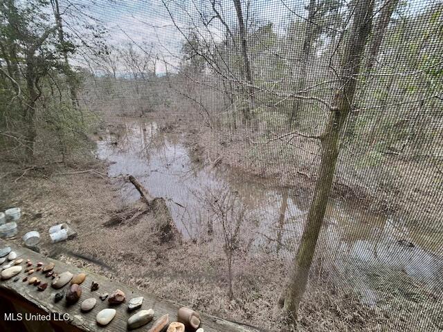 3197 Leatherwood Road, Unit D Tylertown, MS 39667 - Photo 21 of 26 IMG_2663