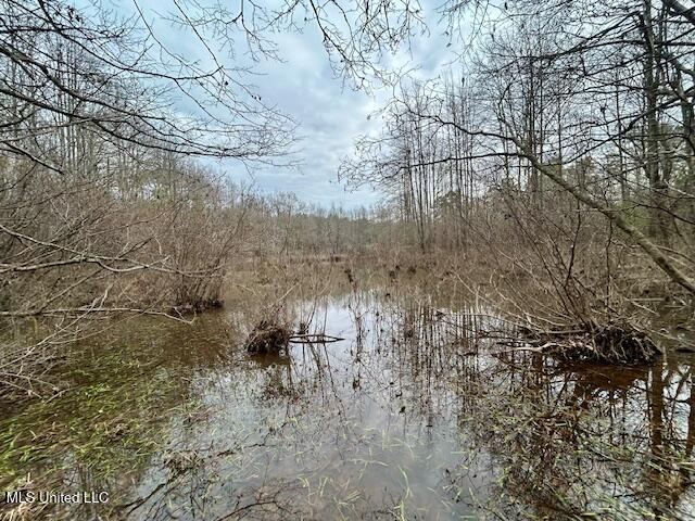 3197 Leatherwood Road, Unit D Tylertown, MS 39667 - Photo 23 of 26 IMG_2676 (1)