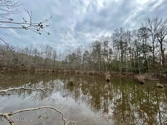 $109,500 | 3197 Leatherwood Road, Unit D, Tylertown, MS 39667