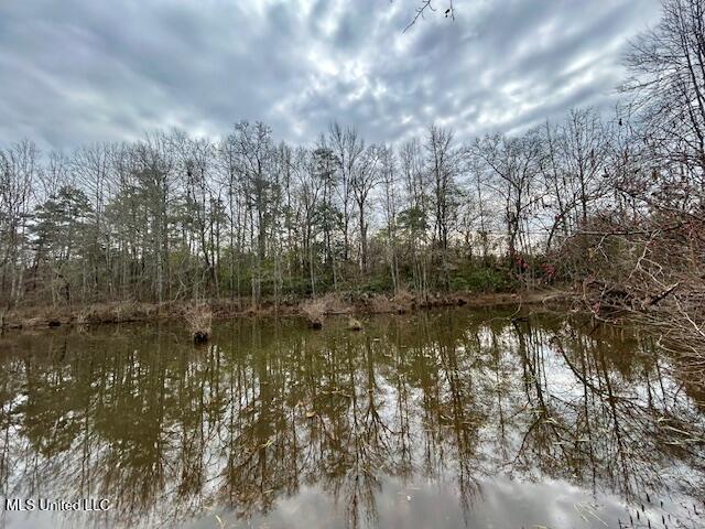 3197 Leatherwood Road, Unit D Tylertown, MS 39667 - Photo 25 of 26 IMG_2679 (1)