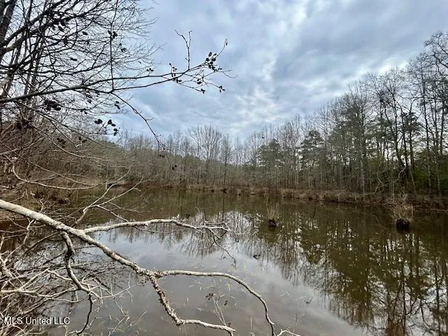 $109,500 | 3197 Leatherwood Road, Unit D, Tylertown, MS 39667