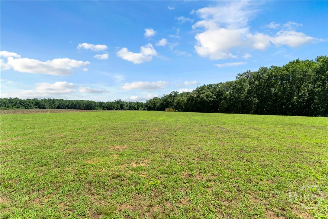 2997 Jason Franklin Road Register, GA 30452 - Photo 60 of 61
