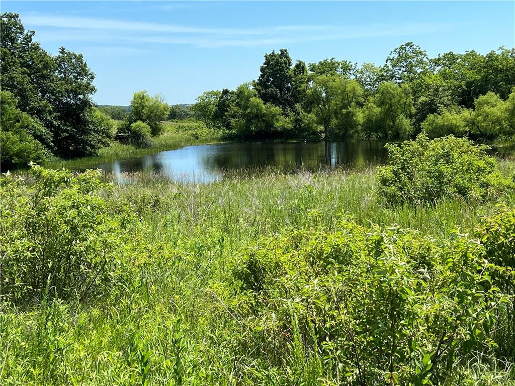 295 Avenue Ridgeway, MO 64481 - Photo 1 of 1 Gallery Image 1