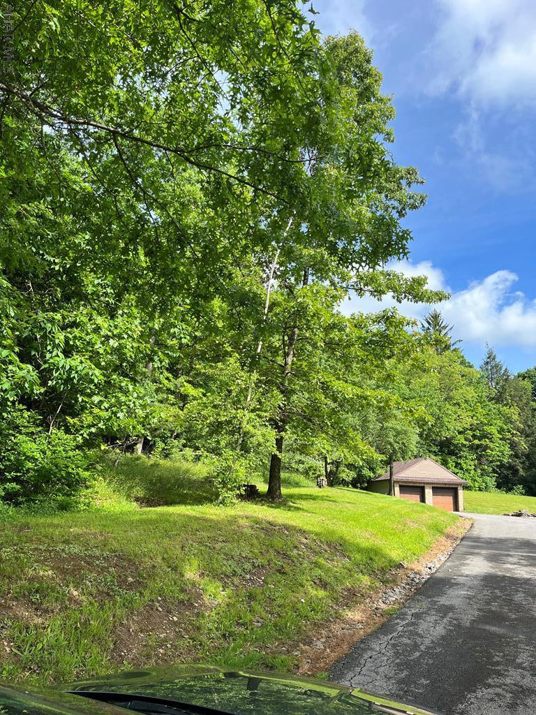 . Avalon Road Altoona, PA 16601 - Photo 2 of 3