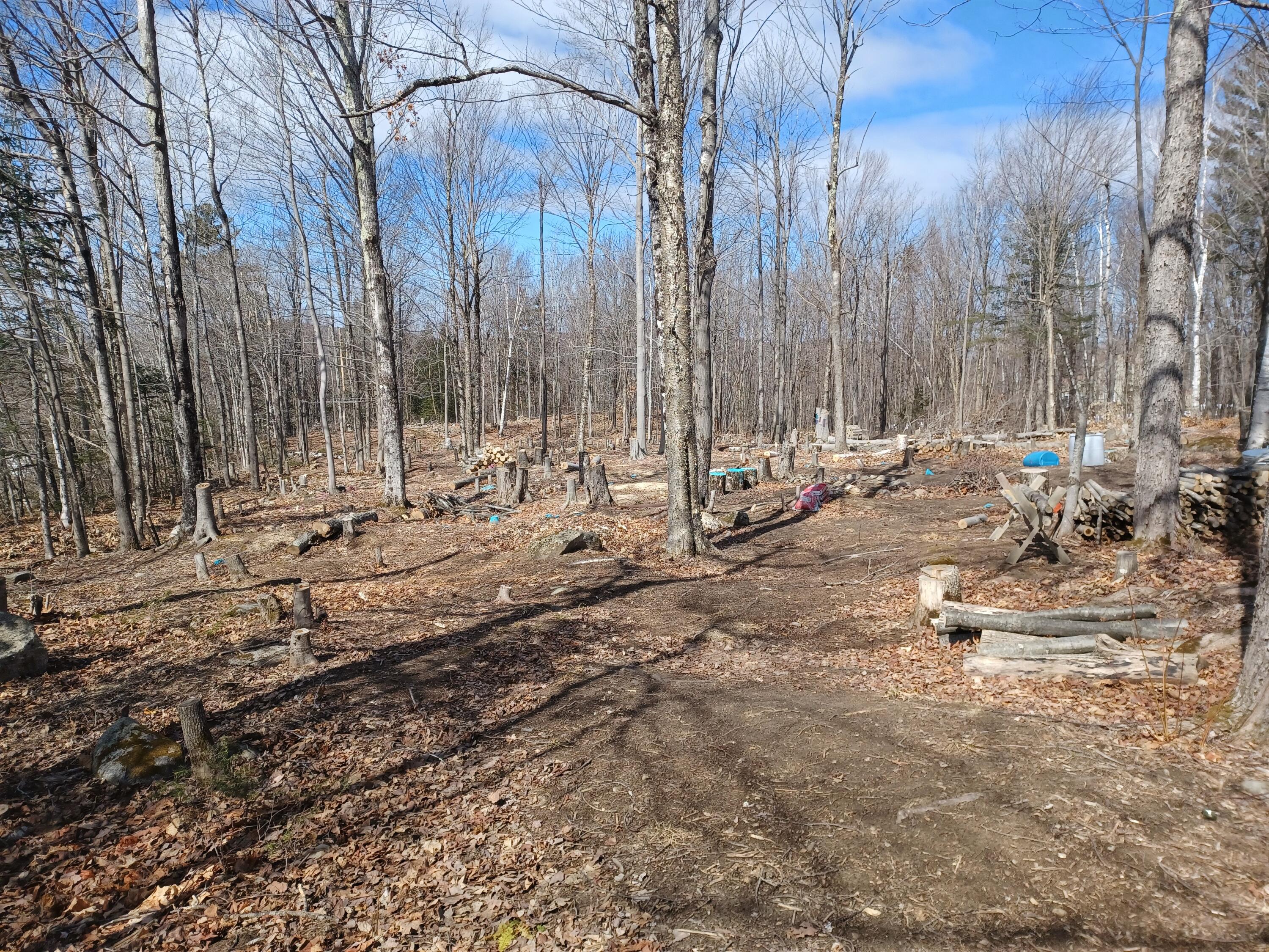 0 Sumner Road South Paris, ME 04281 - Photo 6 of 11 20220328_141544