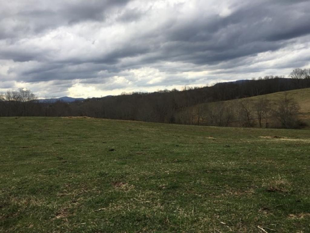 Tbd Buchanan Road Glade Spring, VA 24340 - Photo 1 of 1 Photo 1