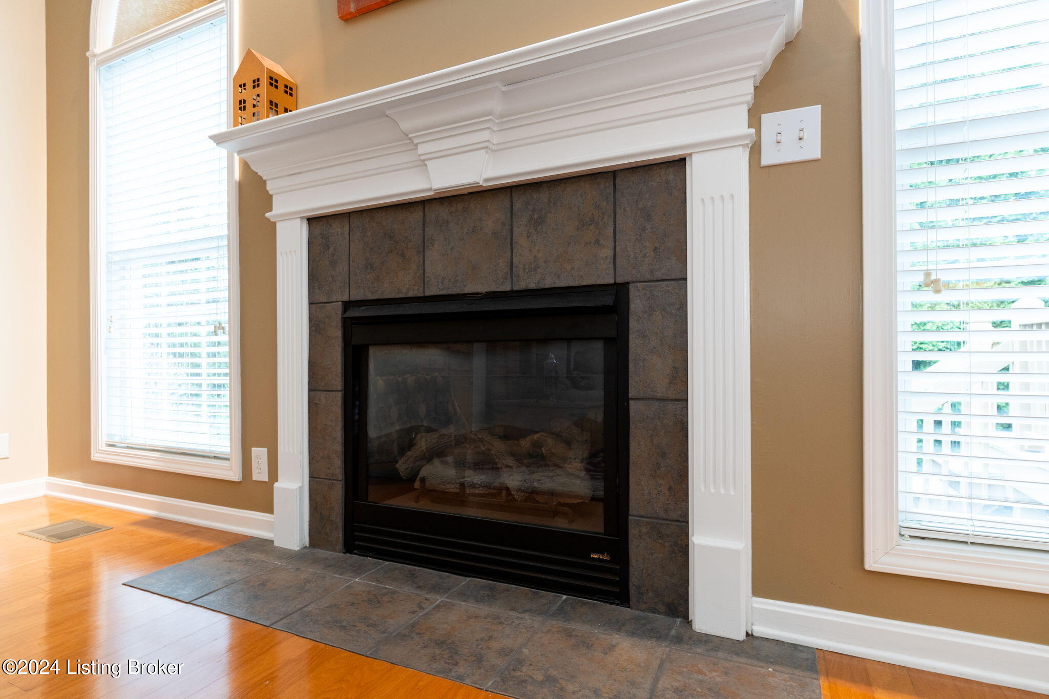 1225 Williams Ridge Road Louisville, KY 40243 - Photo 5 of 50 Gas Fireplace