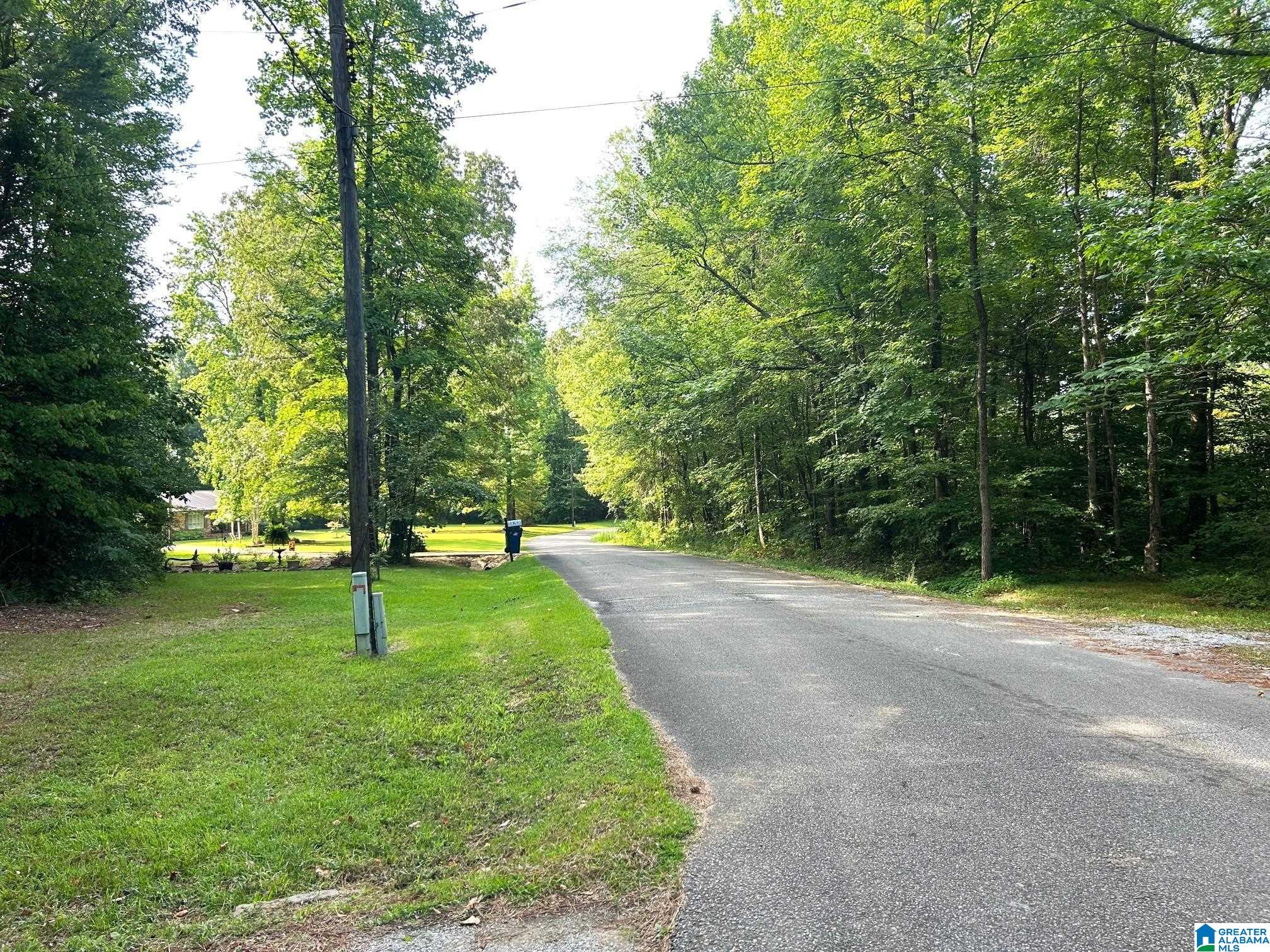 156 Scenic Road Jacksonville, AL 36265 - Photo 7 of 24