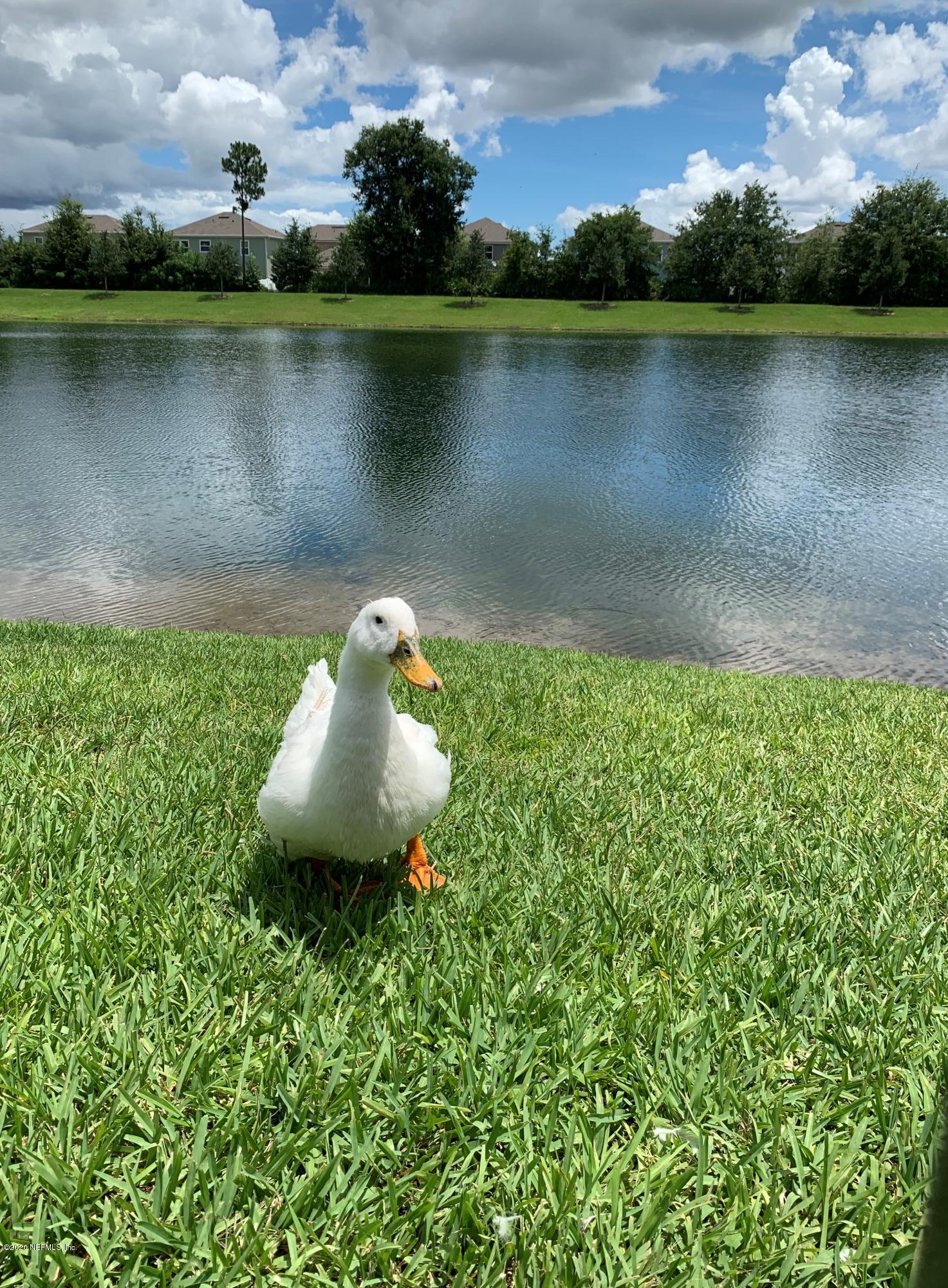 16007 Hutton Lane Jacksonville, FL 32218 - Photo 29 of 29 a view of a lake with a house in the background