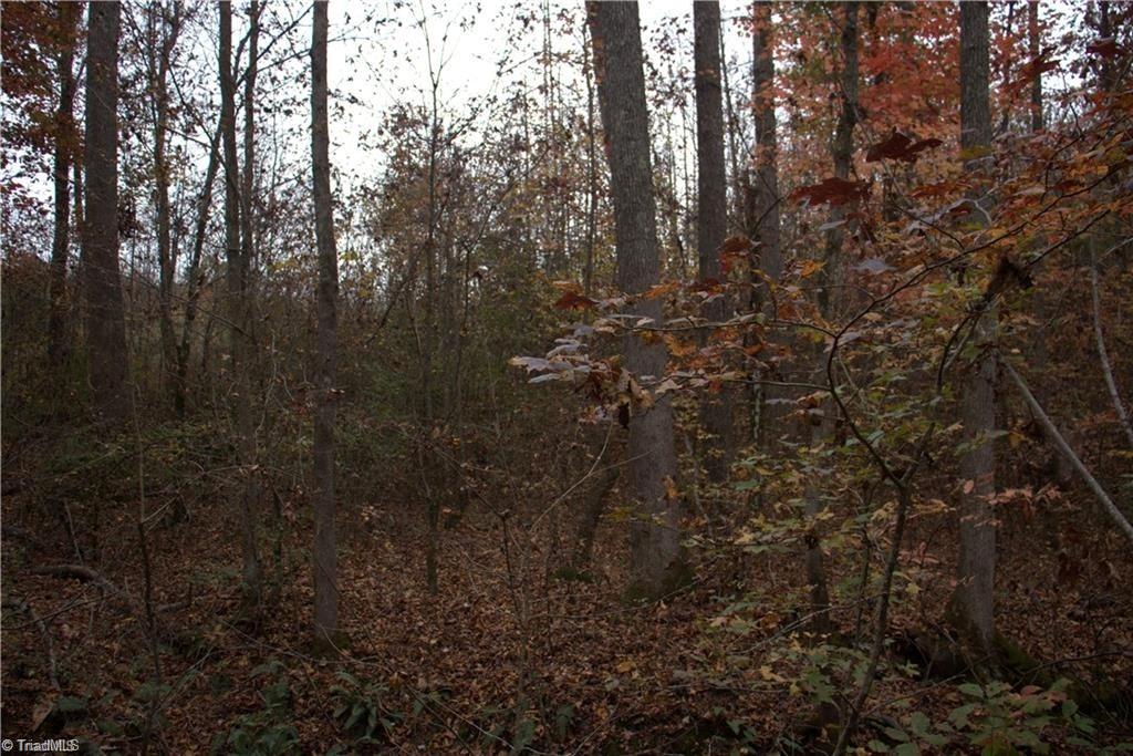 0 Griffin Road Stokesdale, NC 27357 - Photo 11 of 31