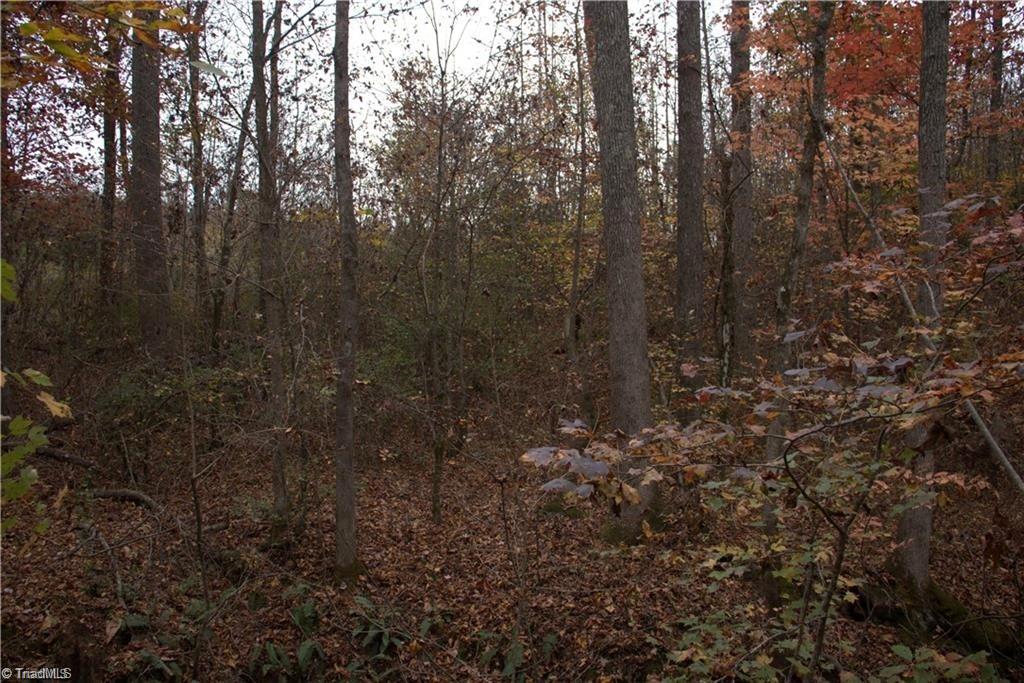 0 Griffin Road Stokesdale, NC 27357 - Photo 12 of 31