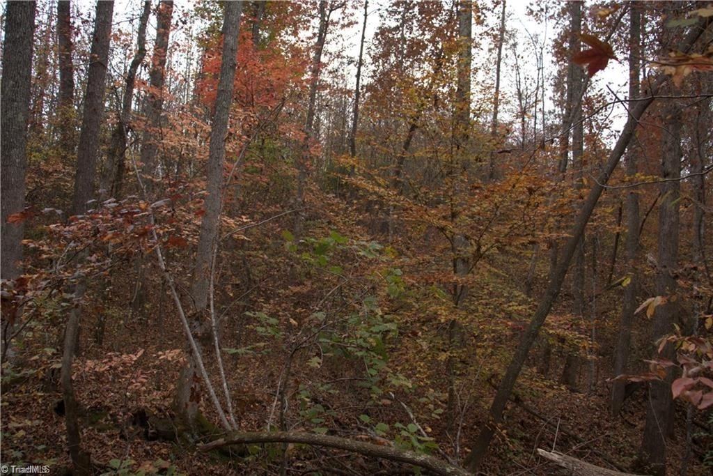 0 Griffin Road Stokesdale, NC 27357 - Photo 15 of 31