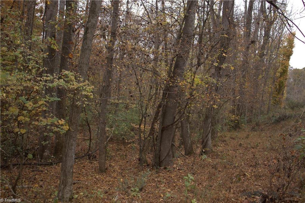 0 Griffin Road Stokesdale, NC 27357 - Photo 17 of 31