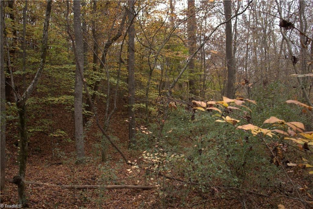 0 Griffin Road Stokesdale, NC 27357 - Photo 18 of 31