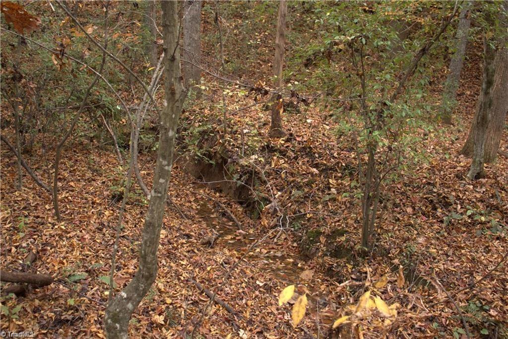 0 Griffin Road Stokesdale, NC 27357 - Photo 19 of 31