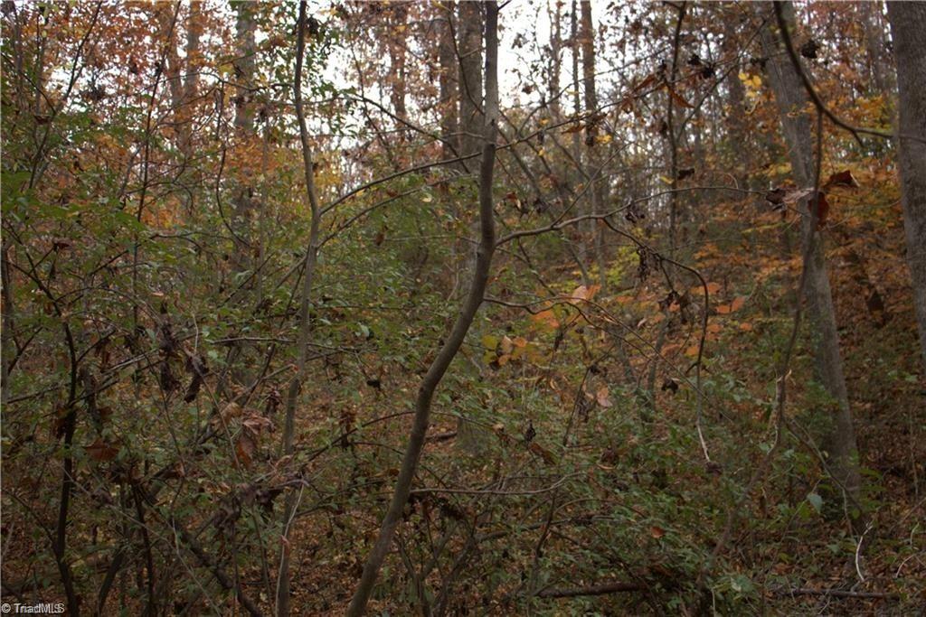0 Griffin Road Stokesdale, NC 27357 - Photo 20 of 31
