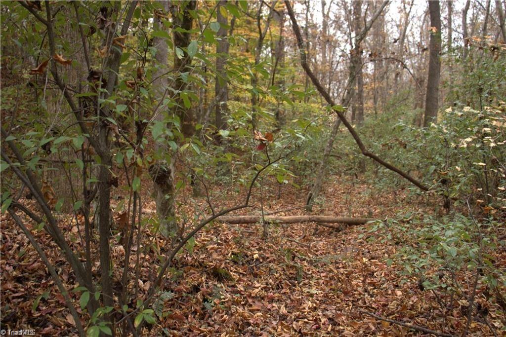 0 Griffin Road Stokesdale, NC 27357 - Photo 21 of 31
