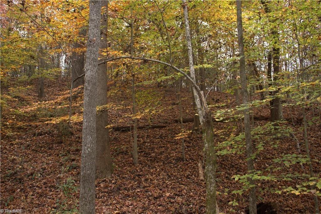 0 Griffin Road Stokesdale, NC 27357 - Photo 22 of 31