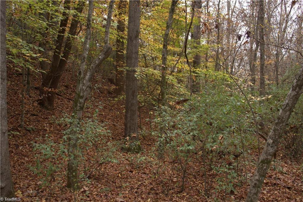 0 Griffin Road Stokesdale, NC 27357 - Photo 23 of 31