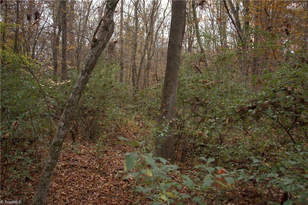 0 Griffin Road Stokesdale, NC 27357 - Photo 24 of 31