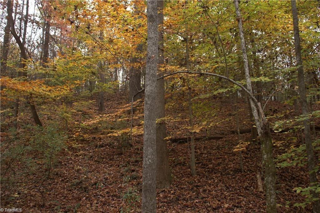 0 Griffin Road Stokesdale, NC 27357 - Photo 25 of 31
