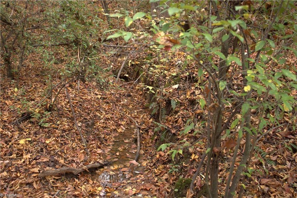 0 Griffin Road Stokesdale, NC 27357 - Photo 26 of 31