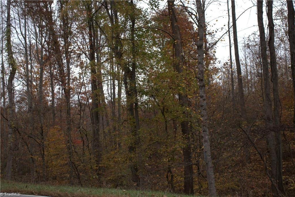 0 Griffin Road Stokesdale, NC 27357 - Photo 27 of 31