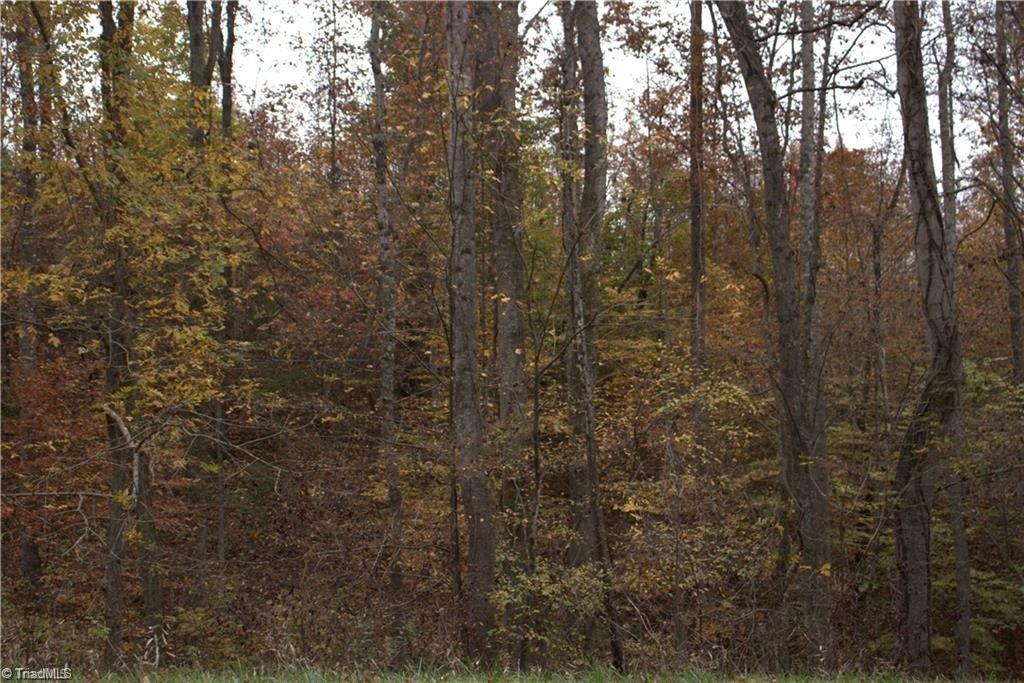 0 Griffin Road Stokesdale, NC 27357 - Photo 28 of 31