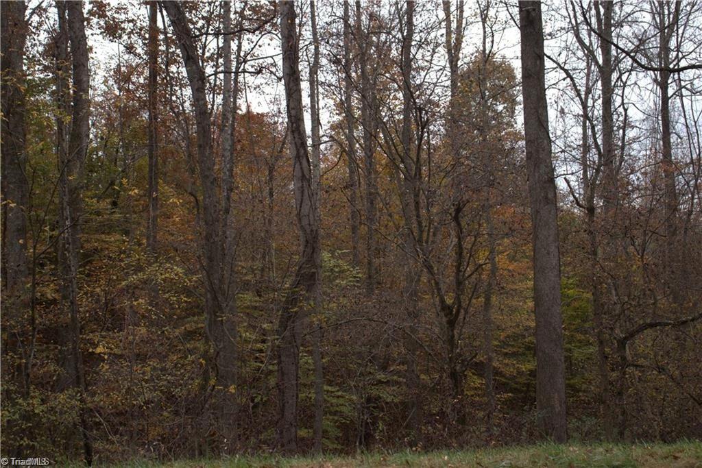 0 Griffin Road Stokesdale, NC 27357 - Photo 29 of 31