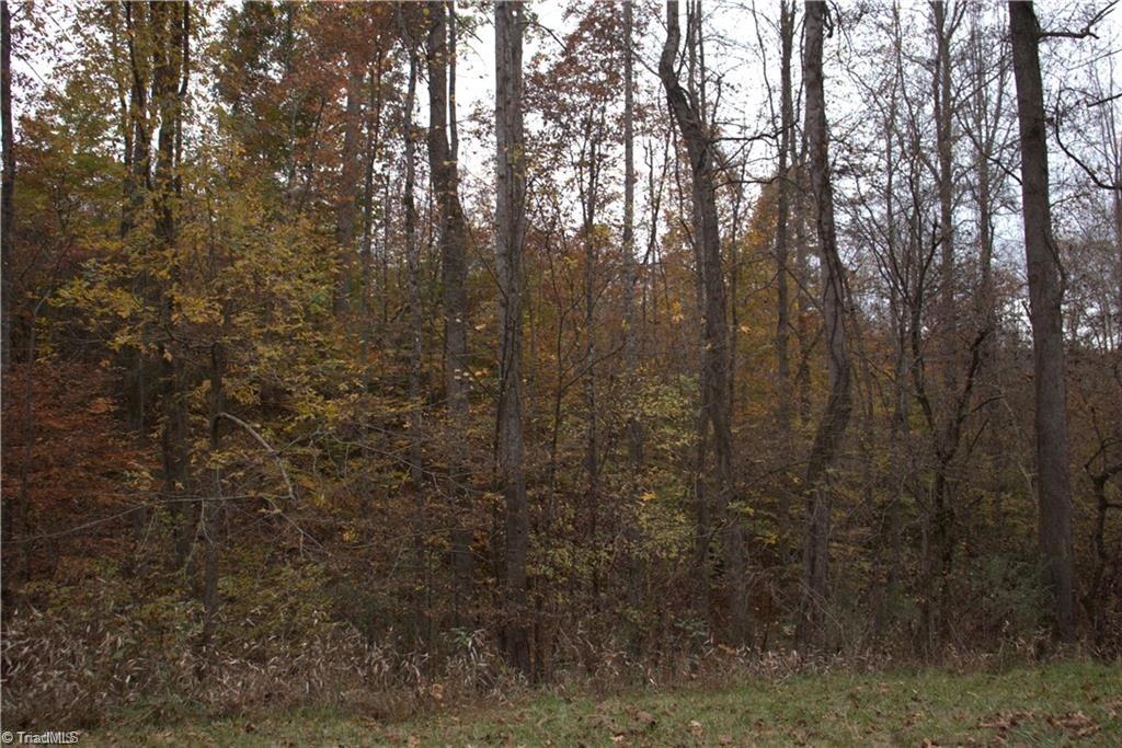 0 Griffin Road Stokesdale, NC 27357 - Photo 4 of 31