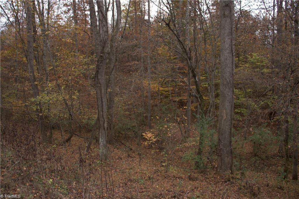0 Griffin Road Stokesdale, NC 27357 - Photo 5 of 31