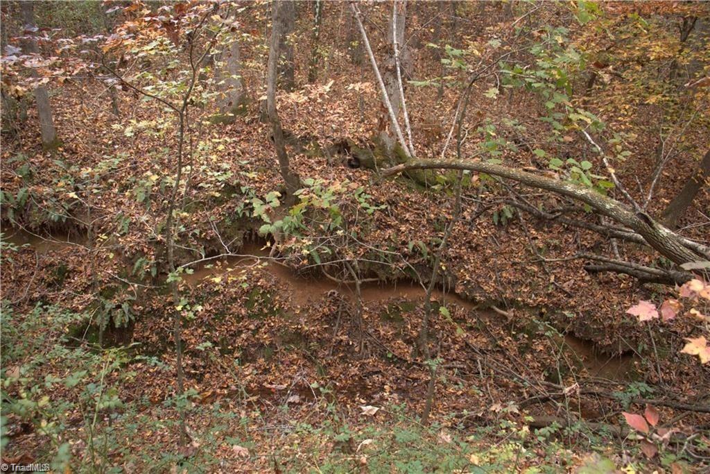 0 Griffin Road Stokesdale, NC 27357 - Photo 9 of 31