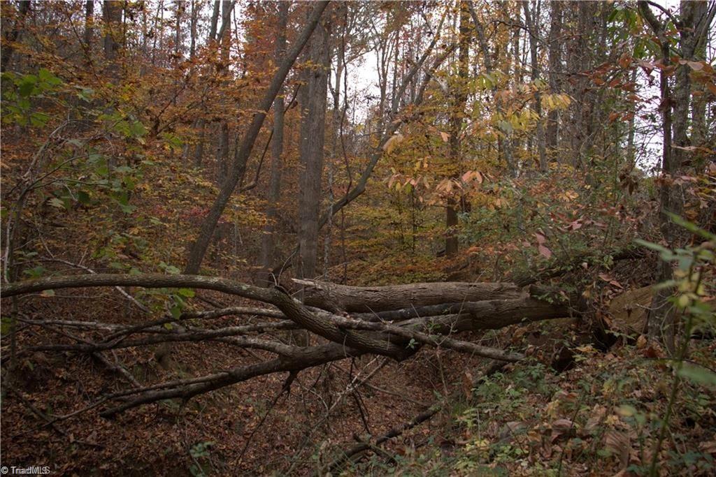 0 Griffin Road Stokesdale, NC 27357 - Photo 10 of 31