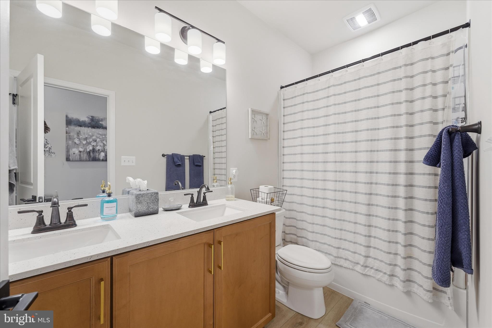 910 Enfield Farm Lane Brunswick, MD 21716 - Photo 39 of 87 a bathroom with a sink a toilet and shower