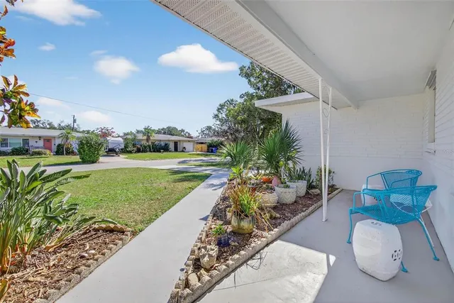 a view of a backyard with plants and a garden