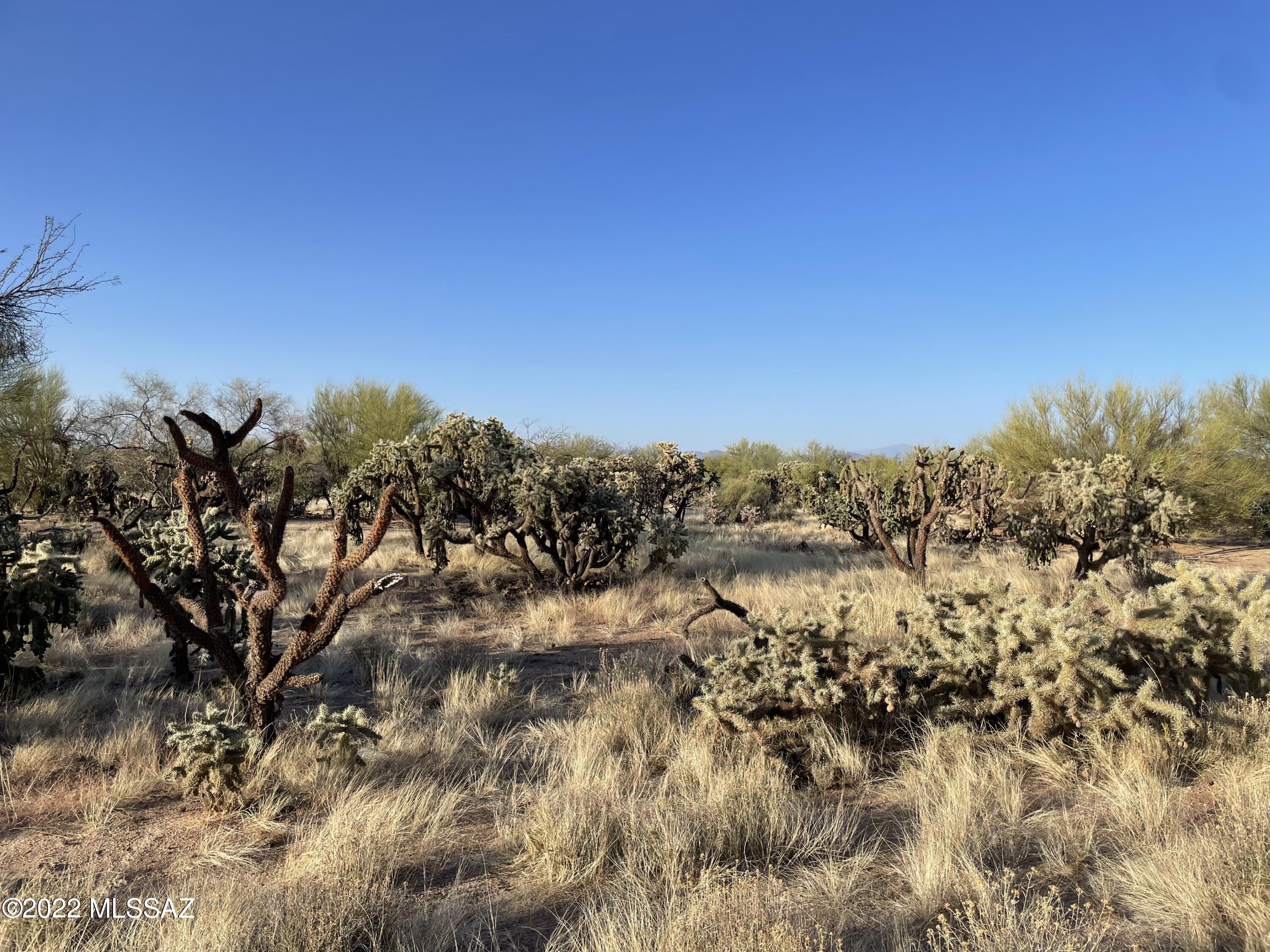 15580 West Chumblers Road, Unit 87 Tucson, AZ 85736 - Photo 7 of 7