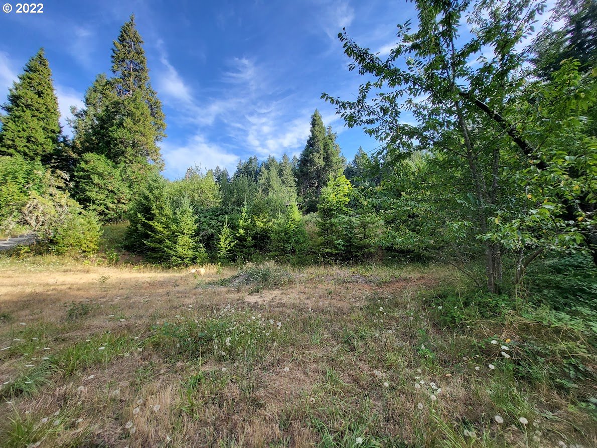 39494 Row River Road Dorena, OR 97434 - Photo 23 of 29 Gallery Image 23