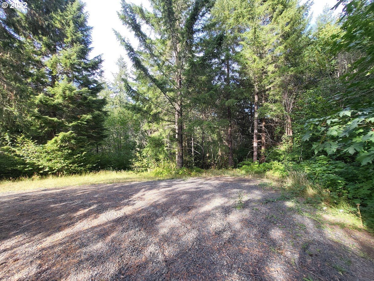 39494 Row River Road Dorena, OR 97434 - Photo 27 of 29 Gallery Image 27