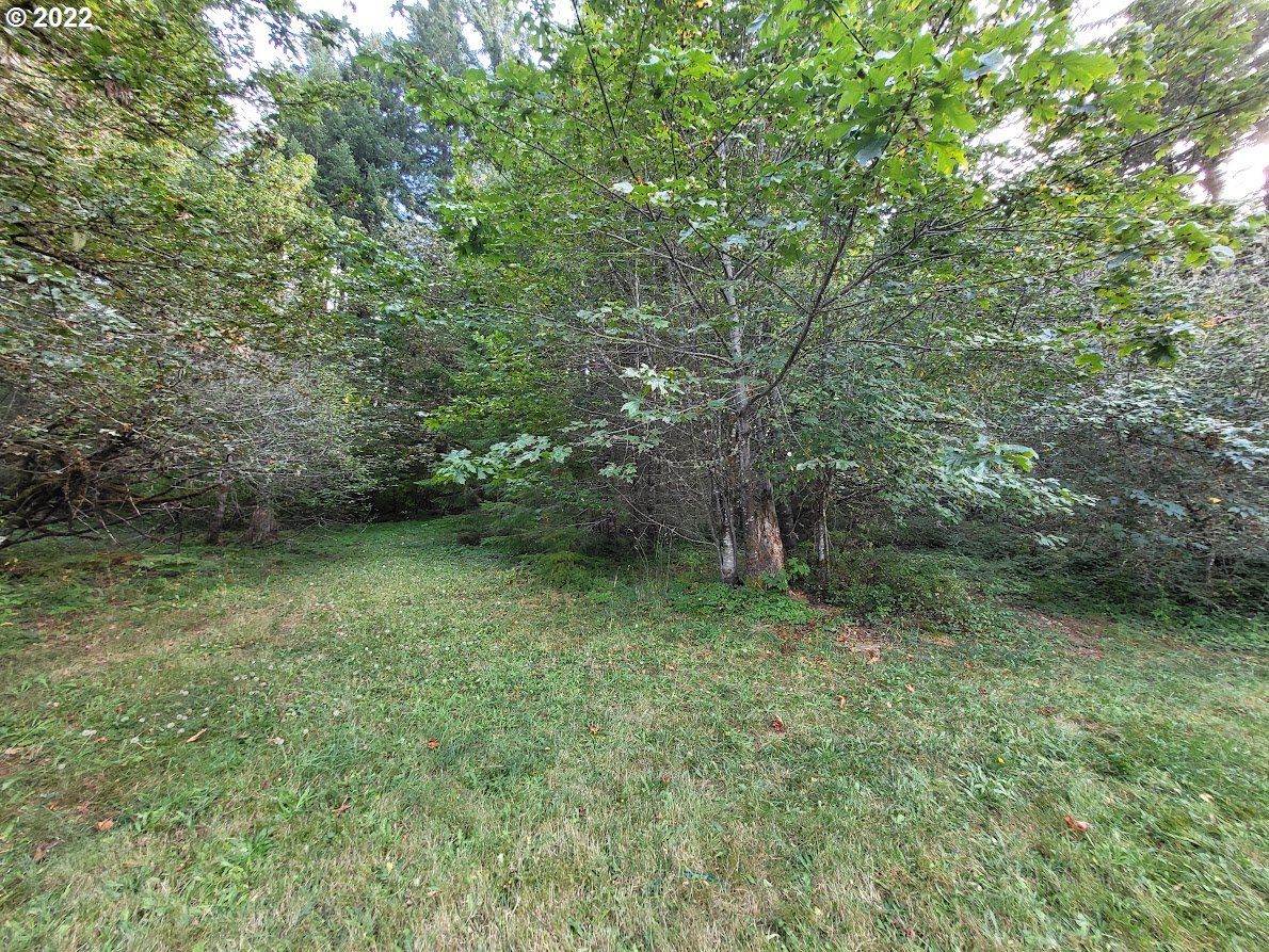 39494 Row River Road Dorena, OR 97434 - Photo 28 of 29 Gallery Image 28
